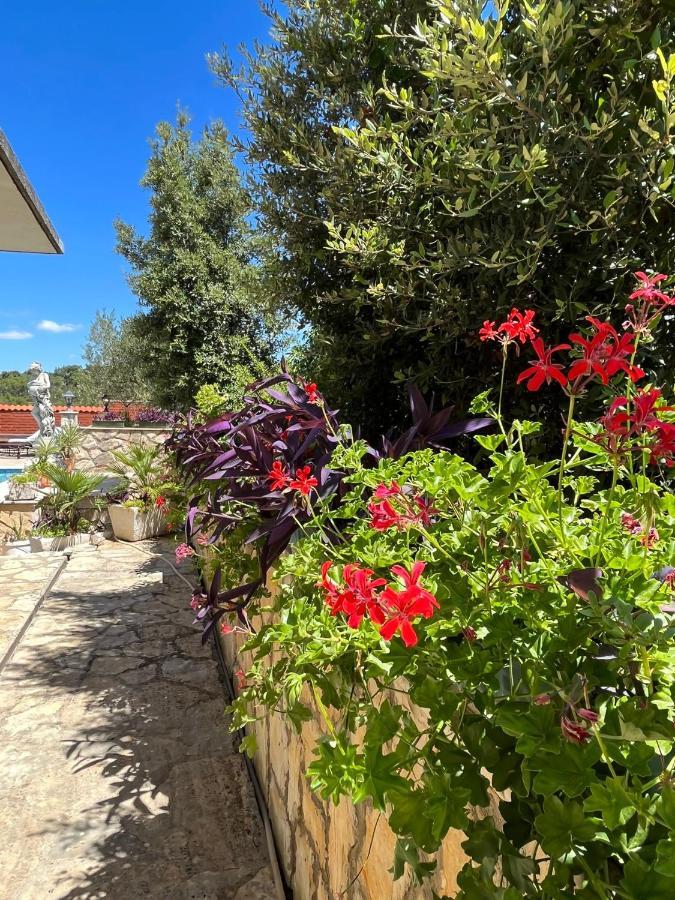 Gorana Apartman With Swimming Pool Leilighet Jelsa  Eksteriør bilde